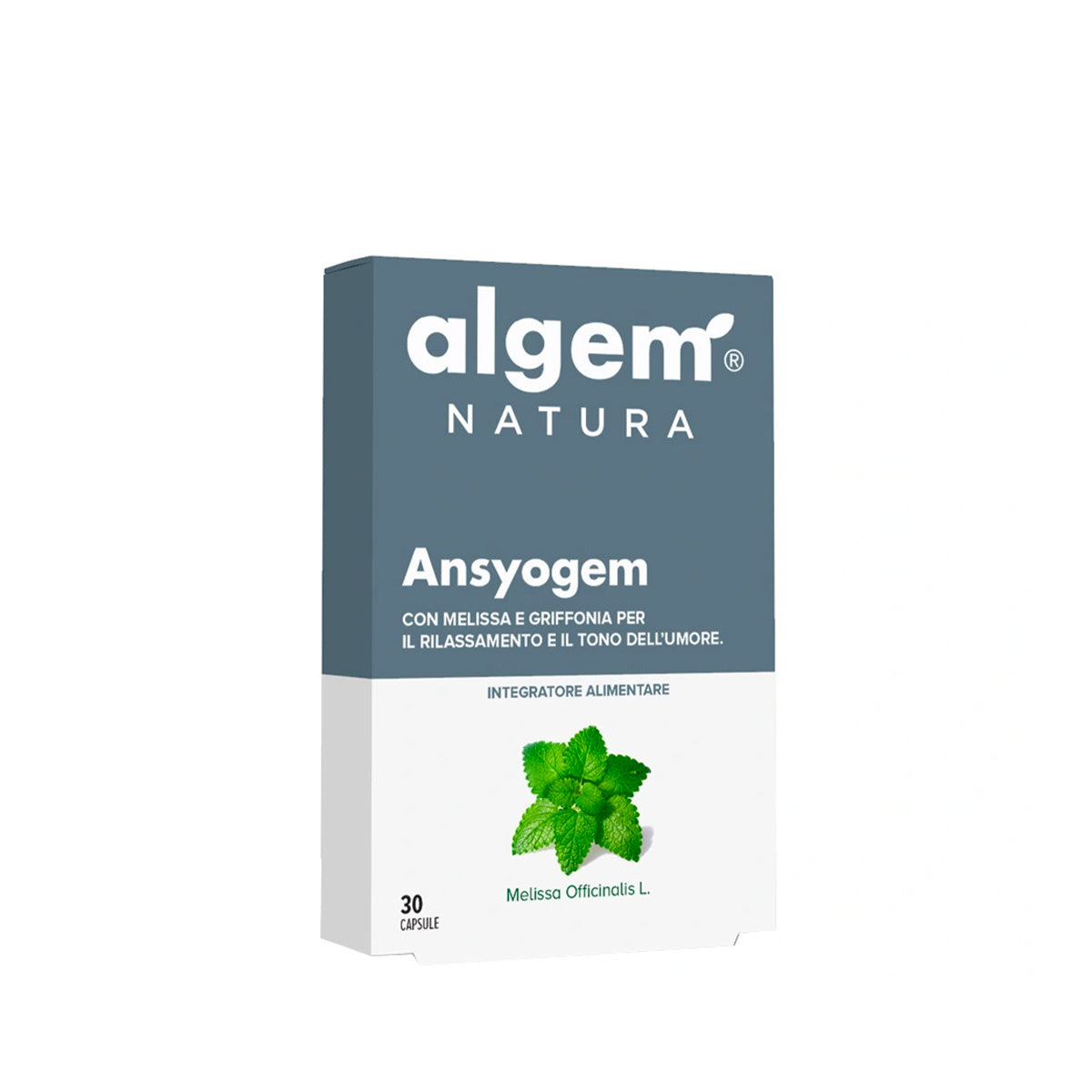 Ansyogem