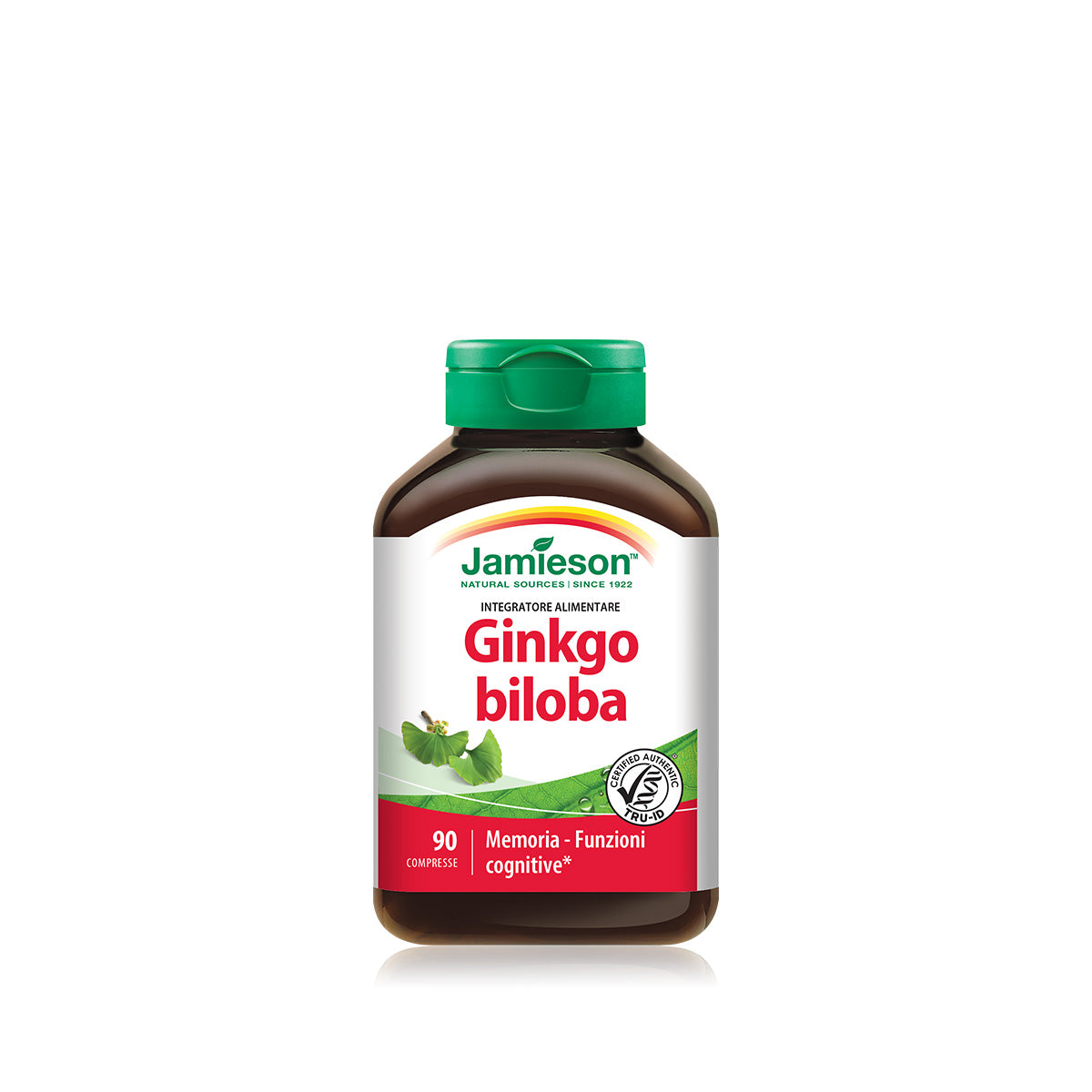 Ginkgo Biloba